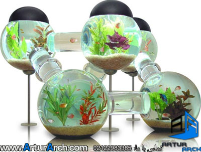 Saltwater aquarium